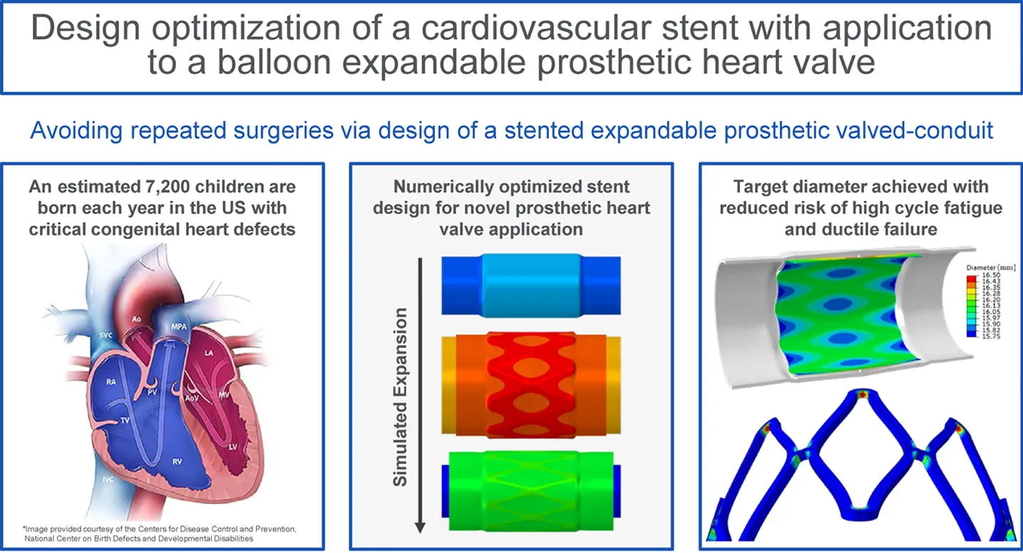 polymeric heart valve design
